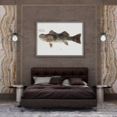 Poster Poisson antique aplodactylus arctidens