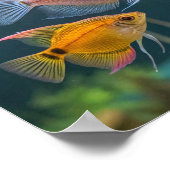 Poster poisson aquarium (Coin)