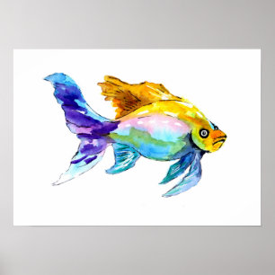 Poster Poisson arc-en-ciel