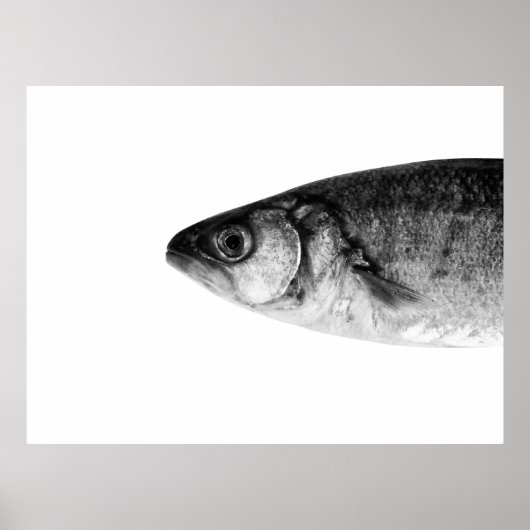 Poster Poisson, art (Devant)