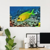 Poster Poisson-bécasse jaune (Bureau à domicile)