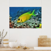 Poster Poisson-bécasse jaune (Cuisine)