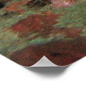 Poster Poisson blanc (Coin)