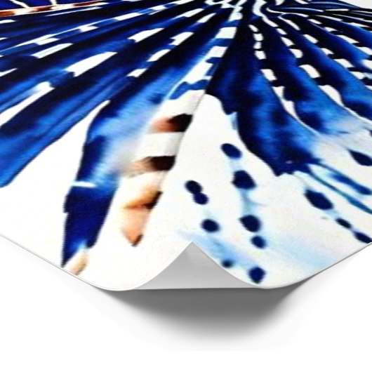 Poster Poisson blanc (Coin)