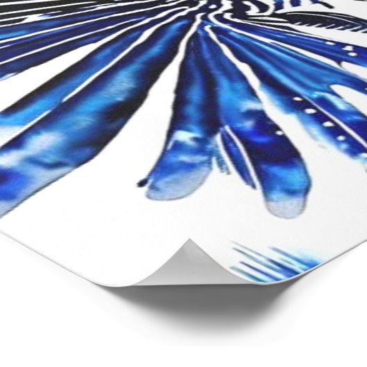 Poster Poisson blanc (Coin)