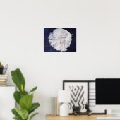Poster Poisson blanc exceptionnel (Bureau à domicile)