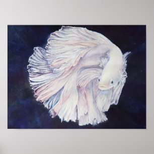Poster Poisson blanc exceptionnel