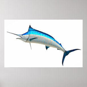 Poster Poisson Blue Marlin