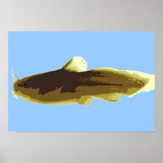 Poster Poisson-chat Tadpole Madtom (Devant)