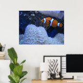 Poster Poisson clown (Bureau à domicile)