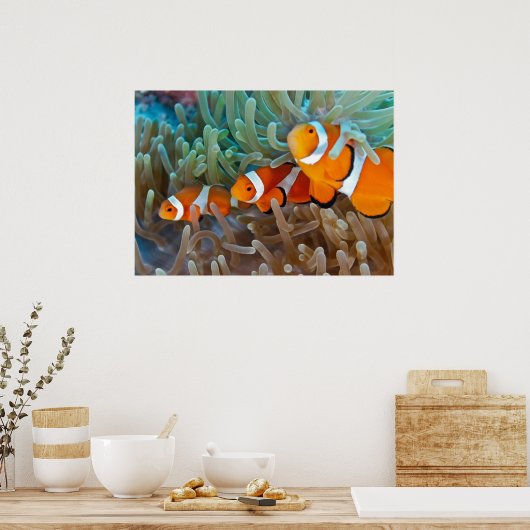 Poster Poisson clown (Cuisine)