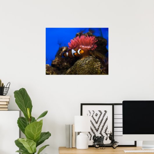 Poster poisson clown (Bureau à domicile)