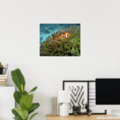 Poster Poisson clown ( Amphiprion ocellaris ) (Bureau à domicile)