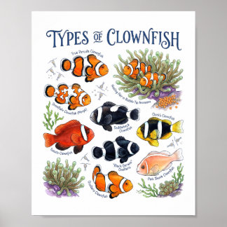 Poster Poisson clown aquarelle Art de poissons de récif t