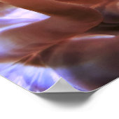 Poster Poisson clown aux Philippines (Coin)