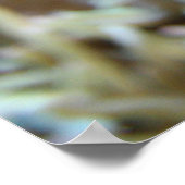 Poster Poisson clown en récif (Coin)