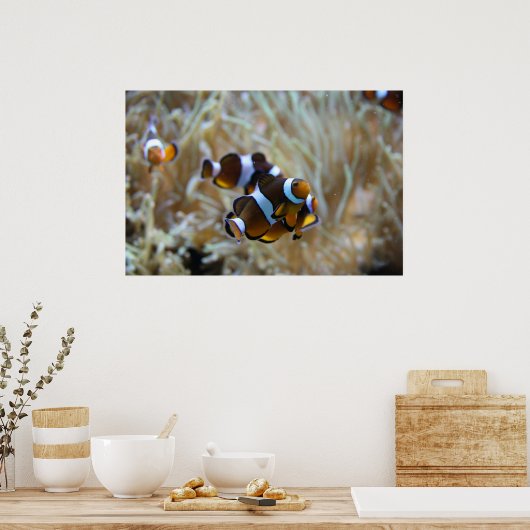 Poster Poisson clown en récif (Cuisine)