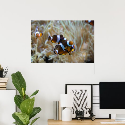 Poster Poisson clown en récif (Bureau à domicile)