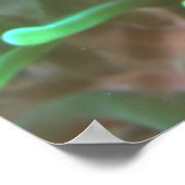 Poster Poisson clown nerveux (Coin)