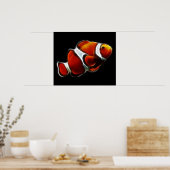 Poster Poisson clown tropical orange (Cuisine)
