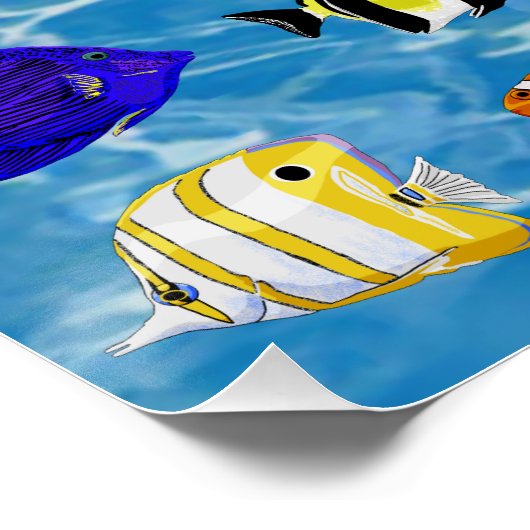 Poster Poisson coloré (Coin)