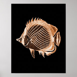 Poster Poisson côtier mer mer mer noir
