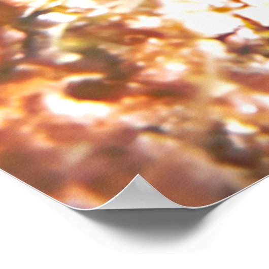 Poster Poisson-cou en cécité (Coin)