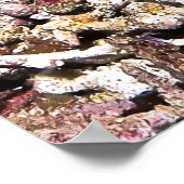Poster Poisson Crimson (Coin)