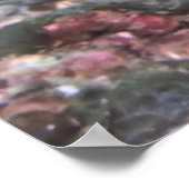 Poster Poisson-cutte (Coin)