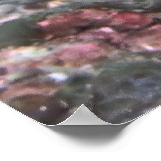 Poster Poisson-cutte (Coin)