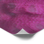 Poster Poisson d'anémone clown occidental (Coin)