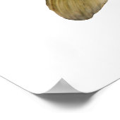 Poster Poisson de bar à grande bouche (Coin)