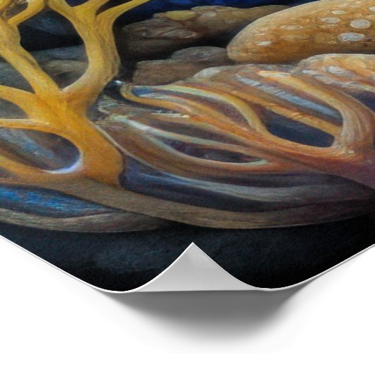 Poster Poisson de calcaire coloré (Coin)