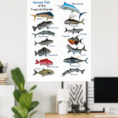 Poster Poisson de jeu de l'affiche de l'Atlantique tropic (Bureau à domicile)