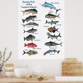 Poster Poisson de jeu de l'affiche de l'Atlantique tropic (Cuisine)