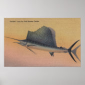 Poster Poisson de mer de Gulf Stream, Floride (Devant)