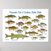 Poster Poisson d'eau douce du sud des États-Unis (Devant)