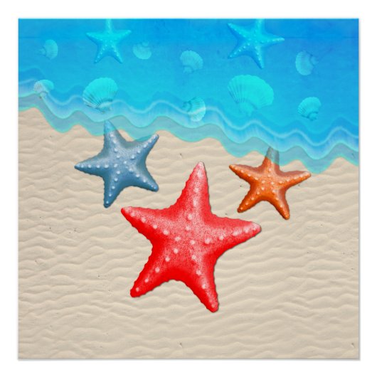 Poster Poisson D'Écaille Et Coquillages (Devant)