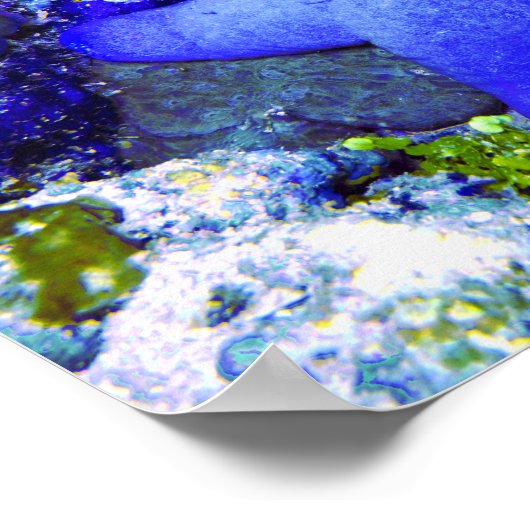 Poster Poisson D'Épée Bleu Tropical Reposé Sur Le Corail  (Coin)