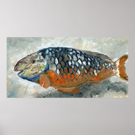 Poster Poisson des Caraïbes orange et bleu (Devant)