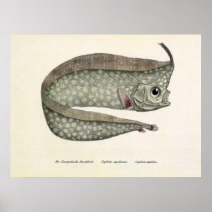 Poster Poisson d'Oarfish vintage, Vie aquatique marine