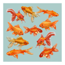 Poisson d'or
