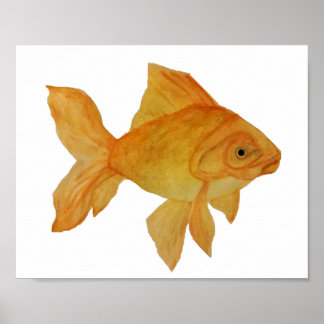 Poster Poisson d'or