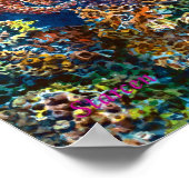 Poster Poisson d'or de la mer (Coin)