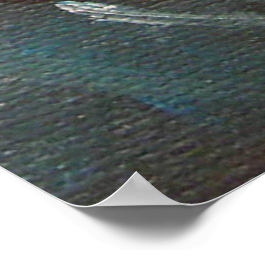 Poster Poisson D'Or Koi Pond Water Lys (Coin)