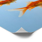 Poster Poisson Doré et Requin (Coin)