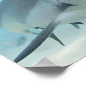Poster Poisson Doré et Requin (Coin)