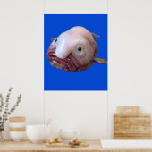 Poster Poisson en fleur (Cuisine)