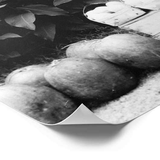 Poster Poisson et fruits : 1936 (Coin)