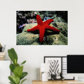 Poster Poisson étoile | Mer Rouge (Bureau à domicile)